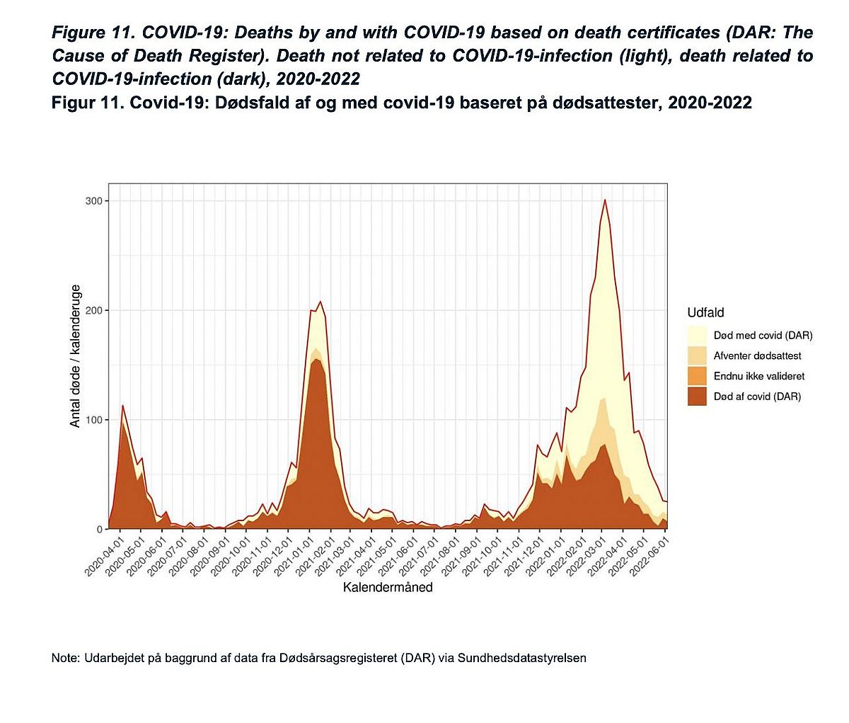 Tote mit positiven Covid-19-Test sind eben nicht wegen einer Covid-19-Erkrankung verstorben