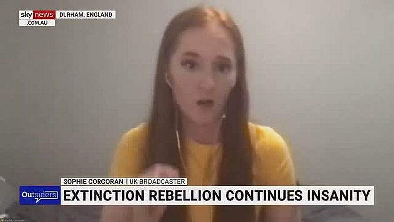 Klimaaktivisten wollen den grünen Kommunismus