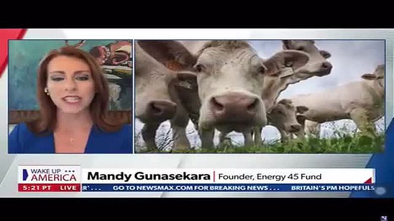 Vorgetäuschte Klimakrise wird politisch genutzt, um eine Hungersnot zu verursachen