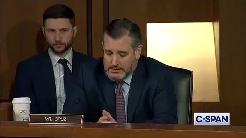 Der «Sturm auf das Kapitol» geklärt: Agenten der Bundesbehörde haben diesen initiiert