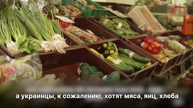 Die Tafeln über die aktuelle Lage: Deutsche und Ukrainer kaufen anders ein