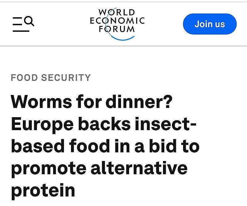 ¿Por qué a muchas celebridades de repente les gusta comer insectos?