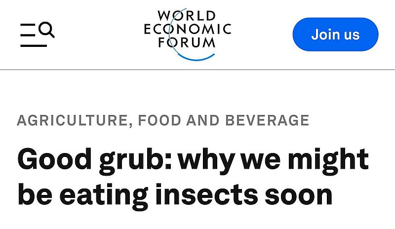 Wieso viele Prominente plötzlich gerne Insekten essen