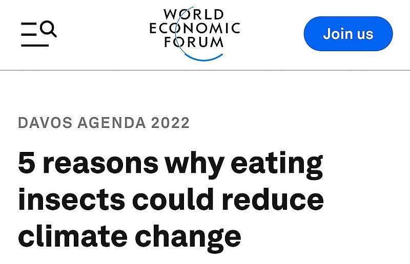 Wieso viele Prominente plötzlich gerne Insekten essen