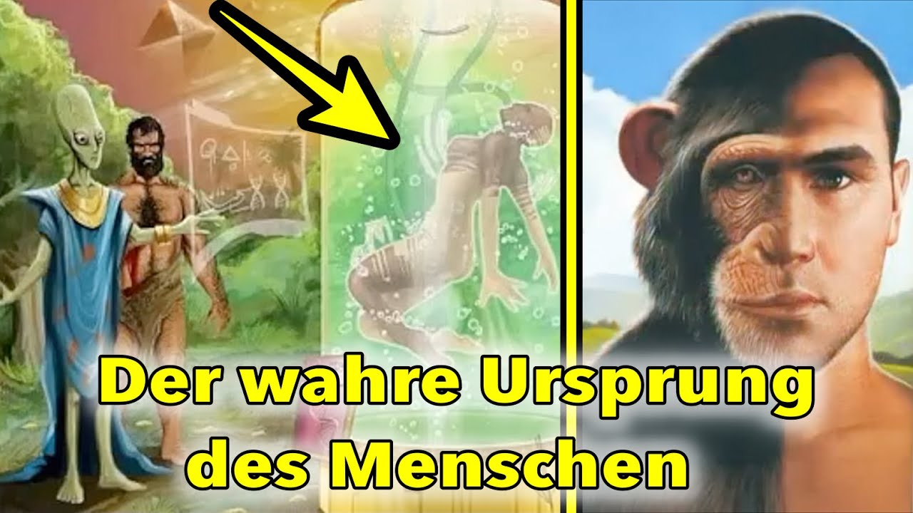Wie der Mensch wirklich geschaffen wurde
