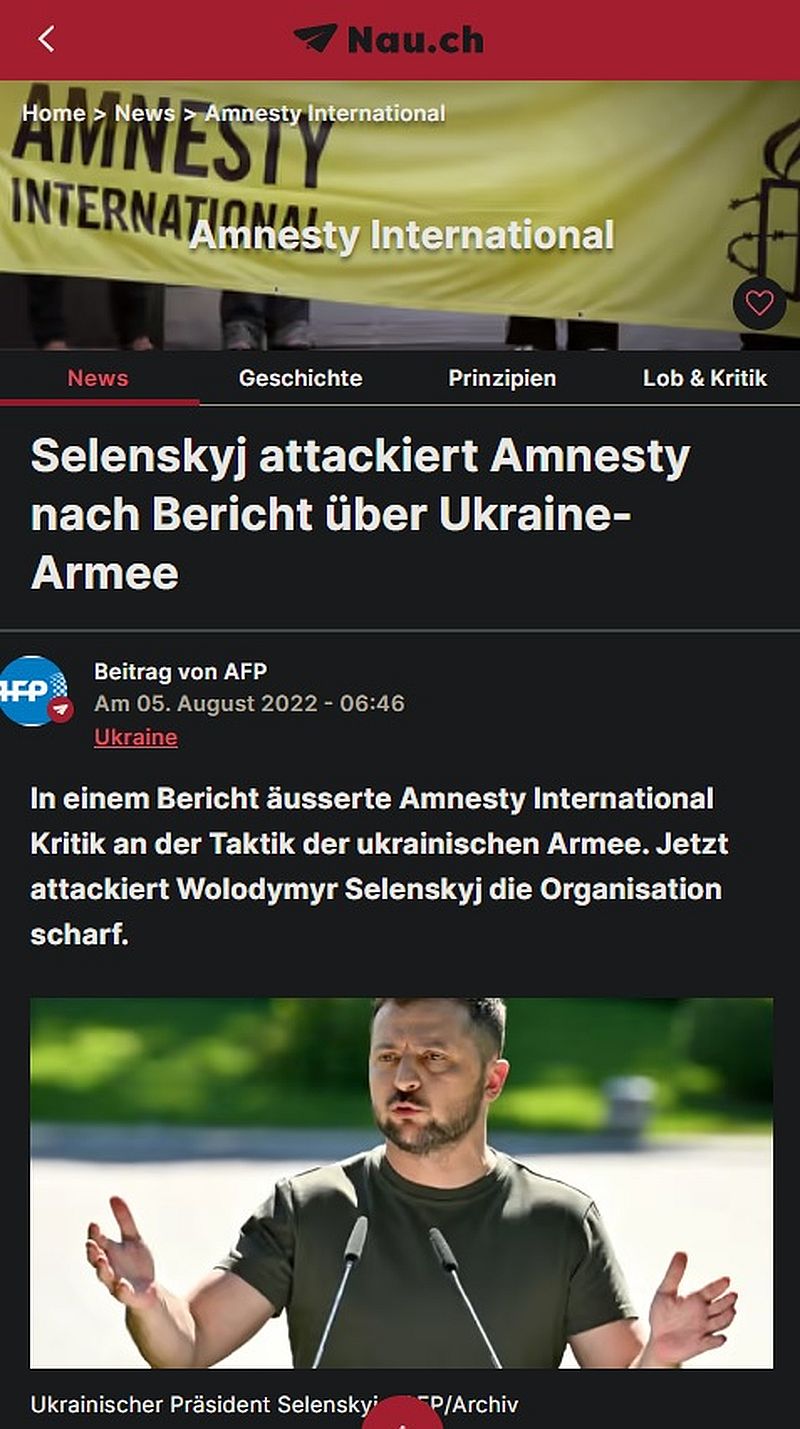 Verbreitet Amnesty russische Propaganda oder gar Verschwörungstheorien?