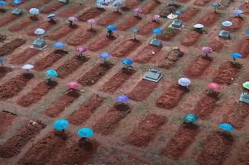 Was ist das neu identifizierte Langya-Virus?