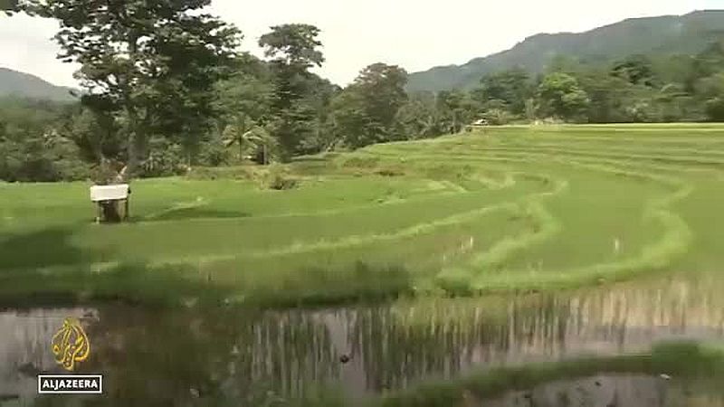 Die vorsätzlich orchestrierte Krise, kontrolliert vom WEF