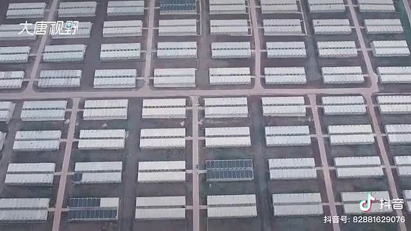 NoCovid in Vollendung!