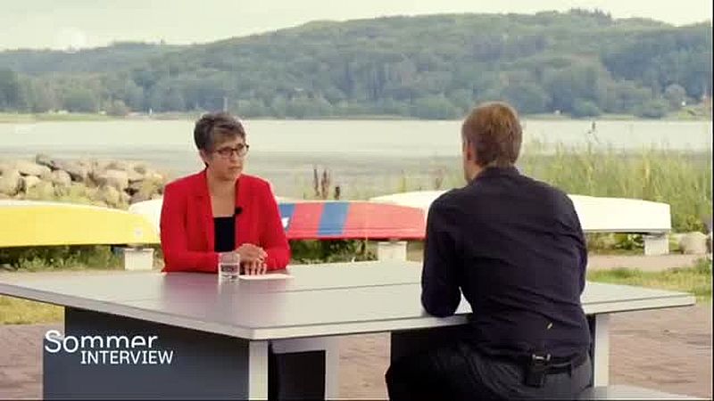 Die radikalen und unmenschlichen Ideologen der Politik: Heute Robert Habeck