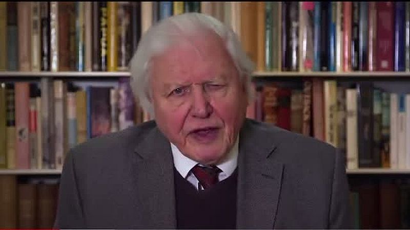 David Attenborough sulle bugie sul riscaldamento globale