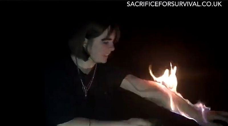 Klimaaktivisten sind Extremisten