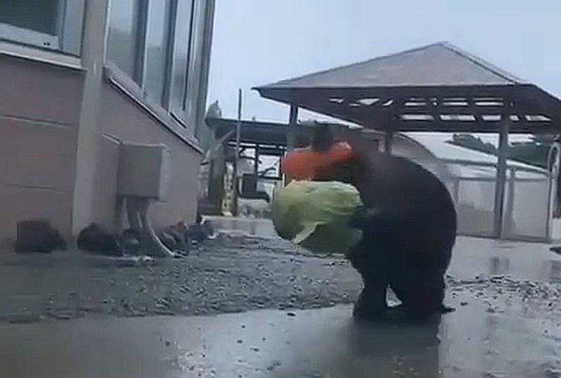 Kluger Rat: Notvorrat!