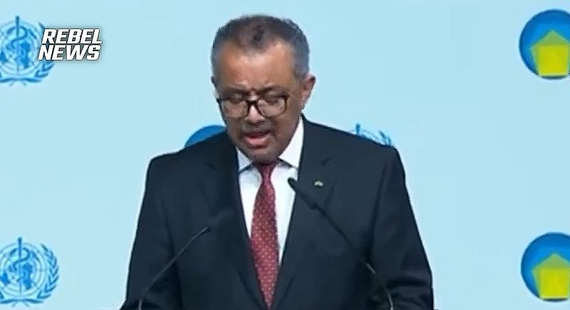 Pandemieabkommen: Ein Vertrag, sie zu knechten, sie alle zu finden, ins Dunkel zu treiben und ewig zu binden