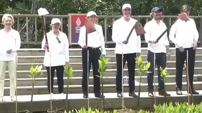 G20 betreibt Greenwashing in seiner widerwärtigsten Form