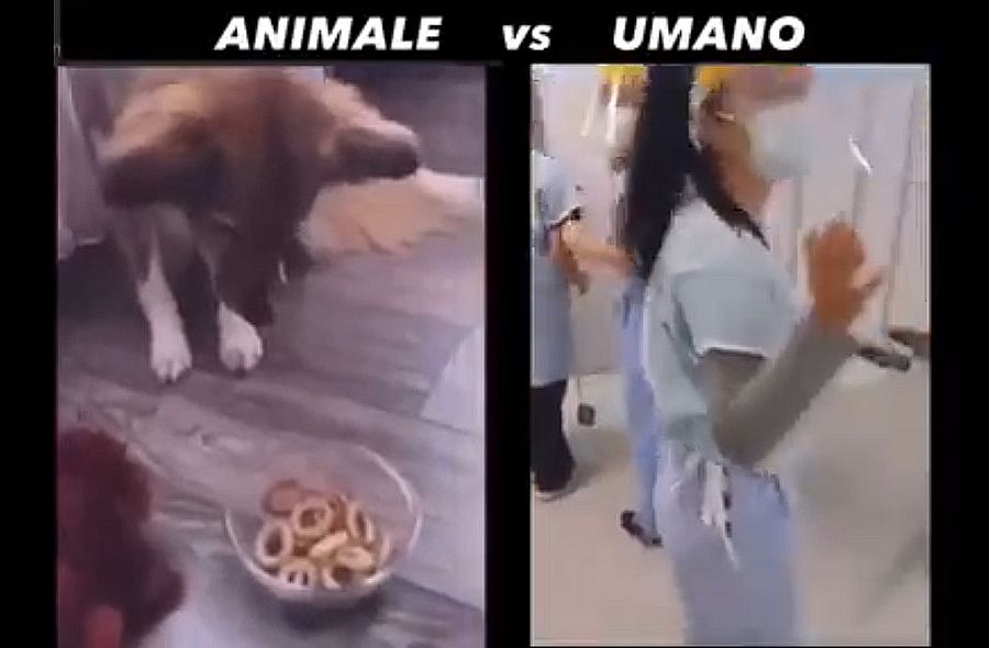 Überlebensinstinkt einer jeden Spezies ist dem der meisten Menschen weit überlegen