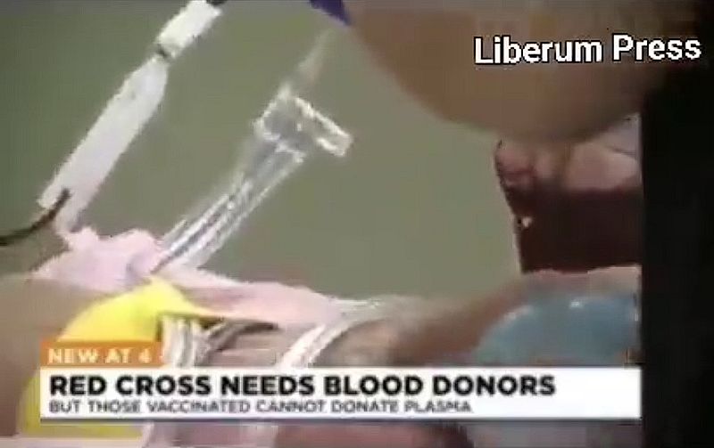 USA: Geimpfte dürfen kein Blut spenden