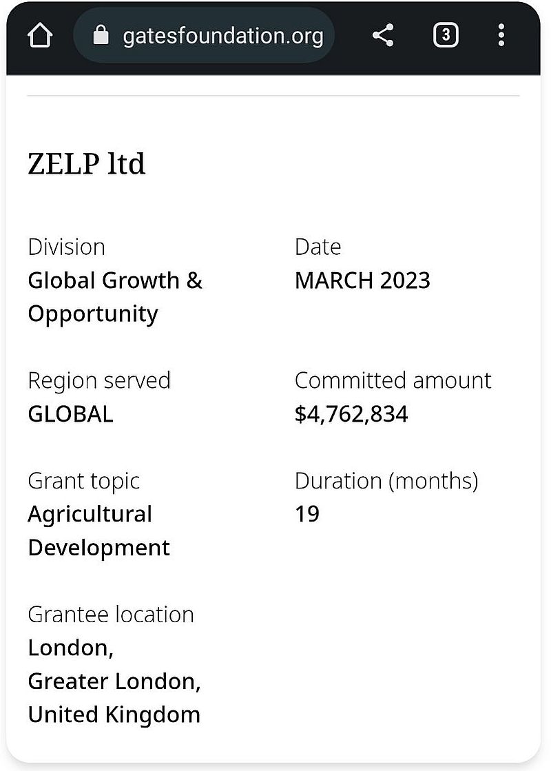 Bill Gates investiert 4,7 Millionen Dollar in Gesichtsmasken für Kühe