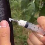Wie Lebensmittel in China produziert werden