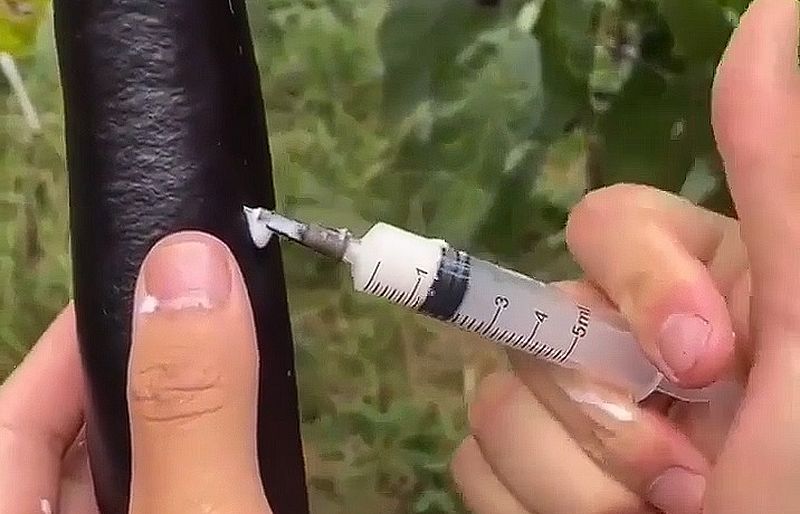 Wie Lebensmittel in China produziert werden