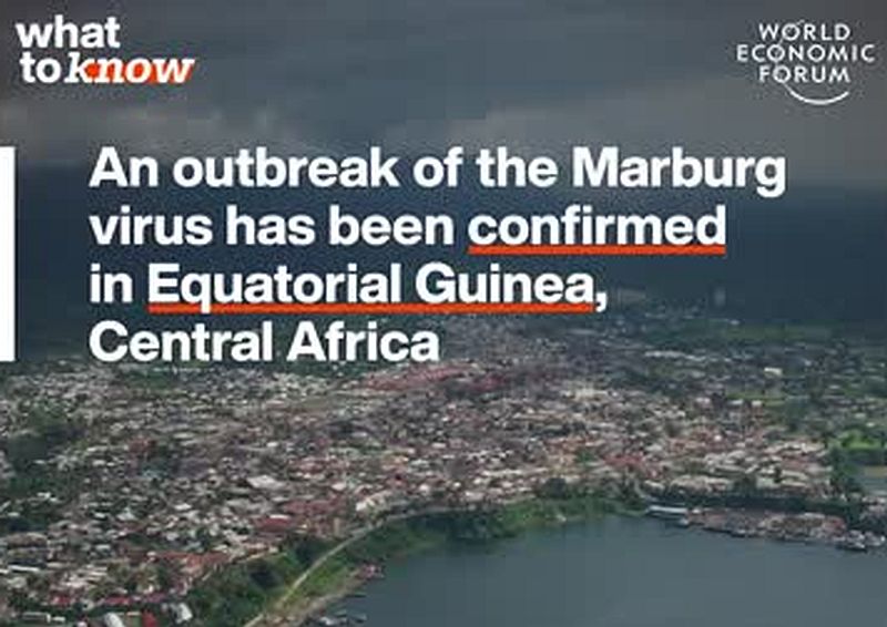 WEF erklärt das Marburg Virus