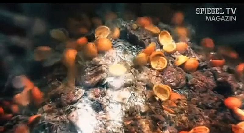 So sieht es aus, wenn die Wegwerfgesellschaft ihren Überfluss entsorgt