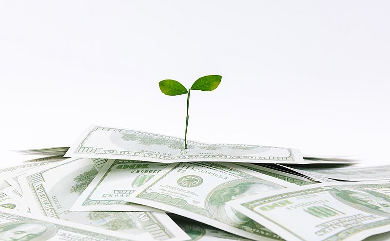 Bio: Exorbitante Margen der Grosshändler