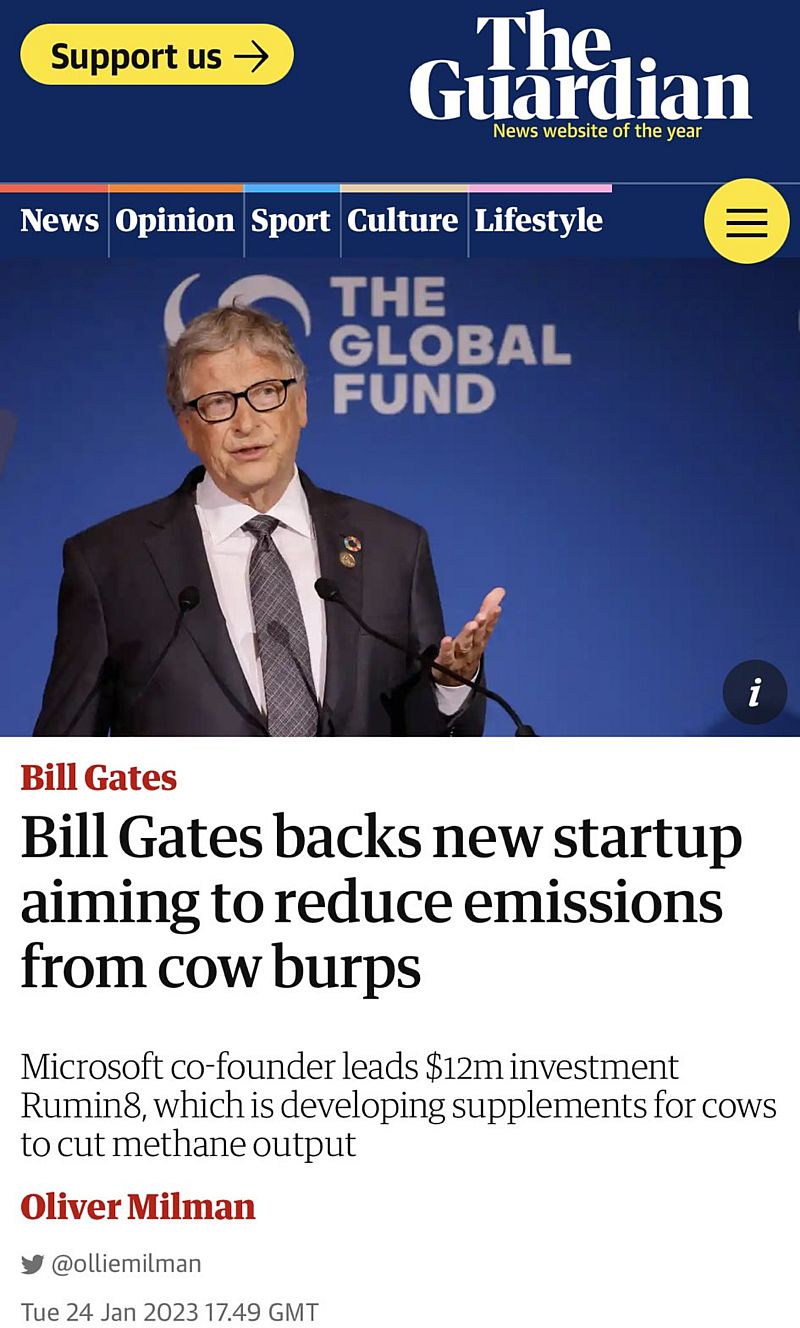 Wielka Brytania zmusza krowy do zaprzestania pierdzenia i bekania „blokerami metanu”.