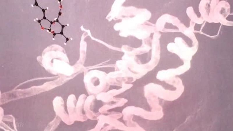 Ivermectin: Die unerzählte Geschichte eines «Wundermittels»