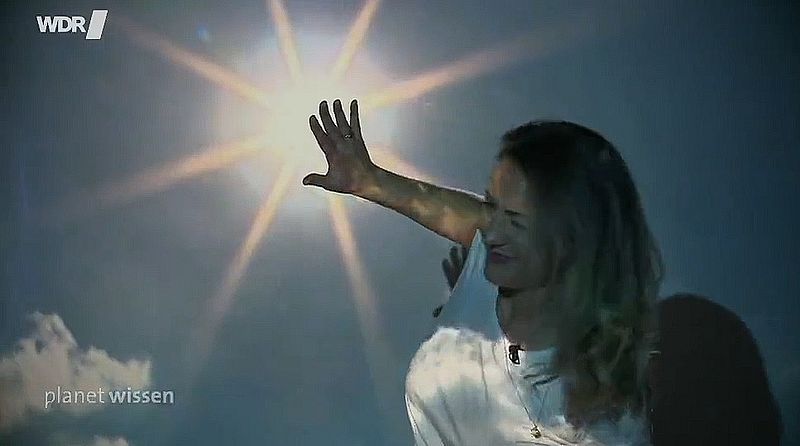 Klimawandel schuld an steigender Aggressivität