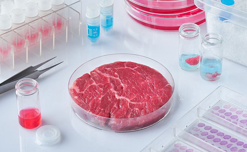 La histeria climática y el veganismo como estrategia de marketing para la carne de laboratorio
