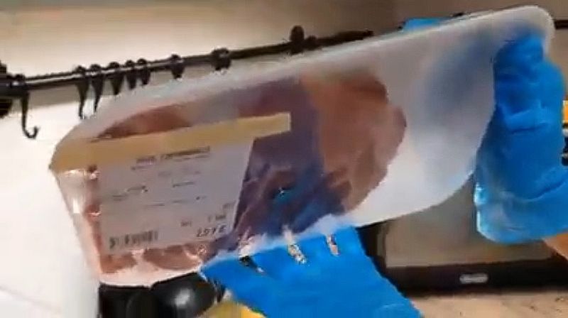 Dieses Fleisch ist magnetisch