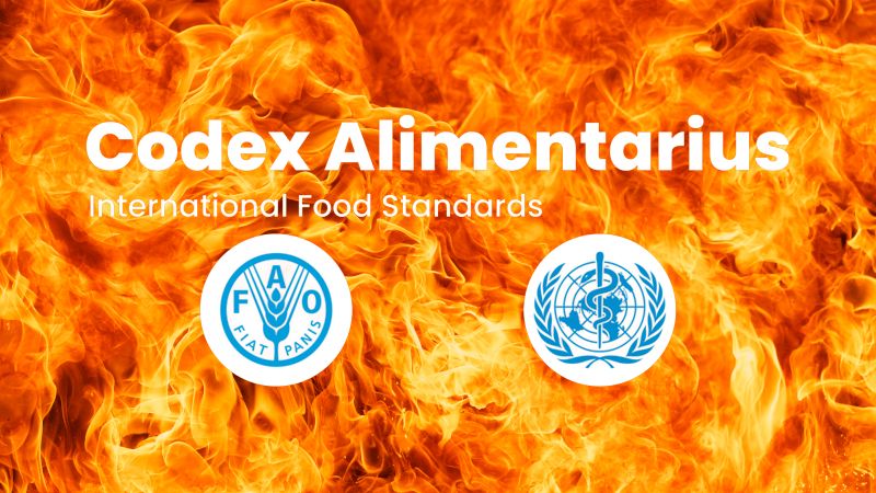 Codex Alimentarius: Wie die UNO Lebensmittel degenerieren will