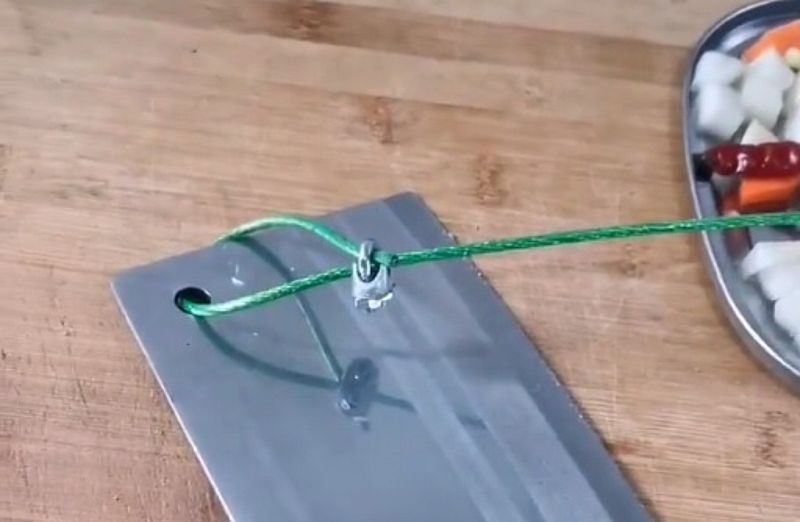 Jede Diktatur beginnt mit der Entwaffnung ihrer Bürger