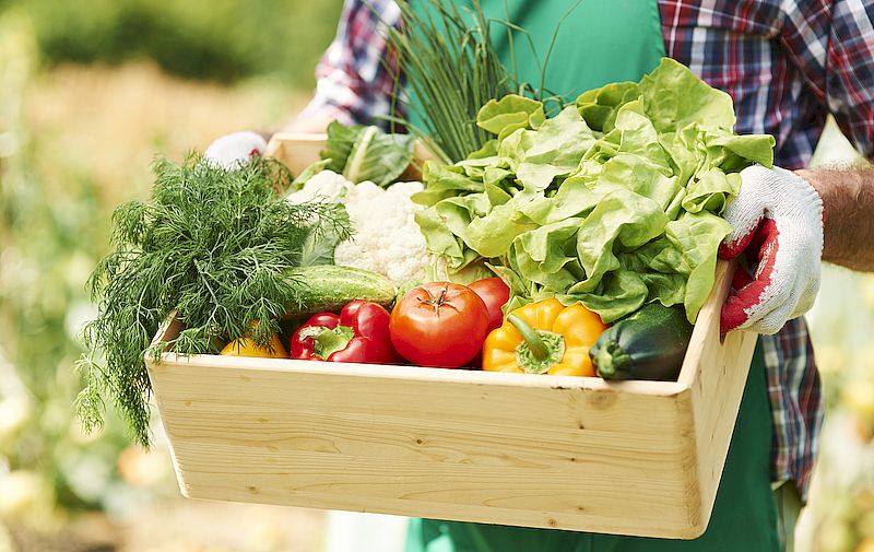 Das Recht der Bevölkerung, ihre Ernährung und Landwirtschaft selbst zu bestimmen