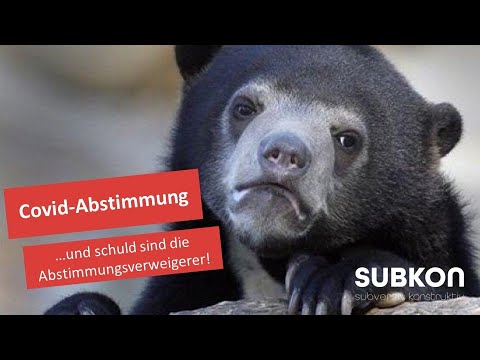 Abstimmung verloren: Ist der Schuldige bekannt, hat der Tag Struktur