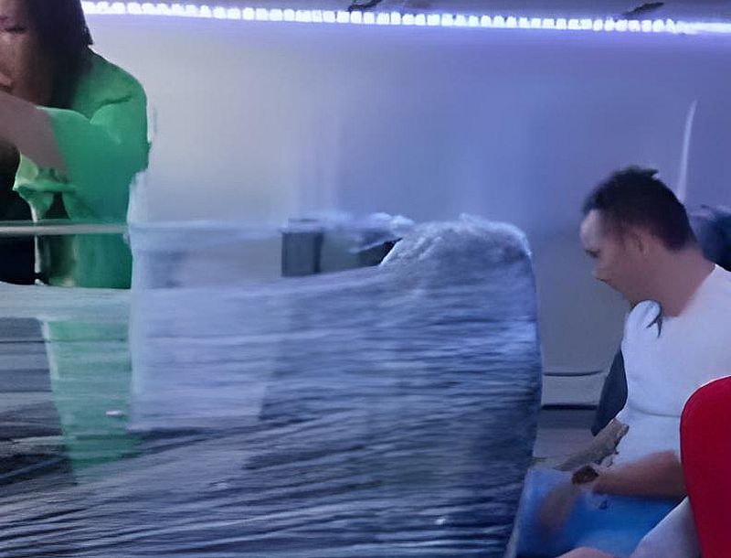 Ein Kokon für den sicheren Flug