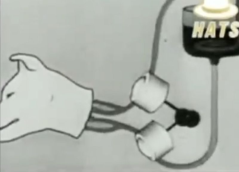 Tierversuche erinnern an Frankenstein