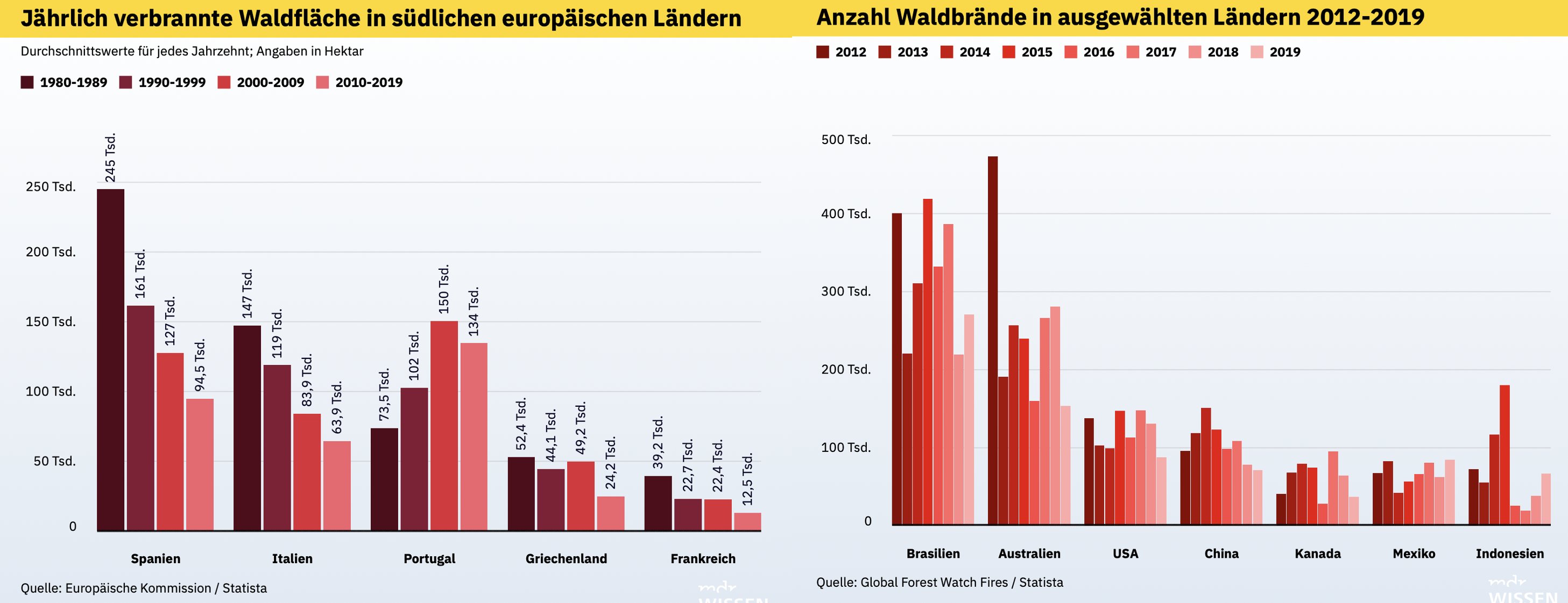 Massenmanipulation mit Bildern: Die Waldbrände in Rhodos