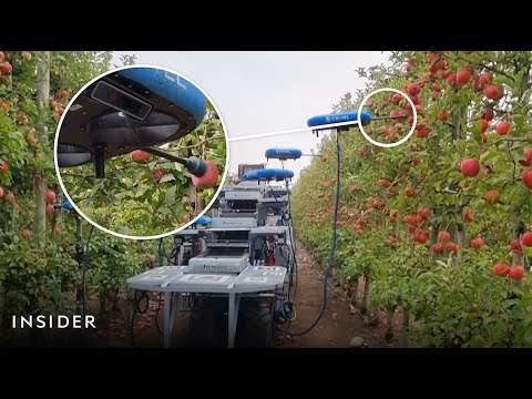 Sú drony na zber ovocia budúcnosťou?