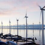 Wind- und Solarparks töten Tiere, zerstören die Umwelt und sind alles andere als "nachhaltig"