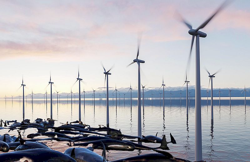 Wind- und Solarparks töten Tiere, zerstören die Umwelt und sind alles andere als "nachhaltig"