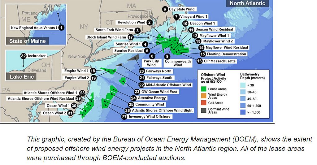Wind- und Solarparks töten Tiere, zerstören die Umwelt und sind alles andere als "nachhaltig"