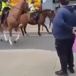 Horses shy away from the rainbow crosswalk