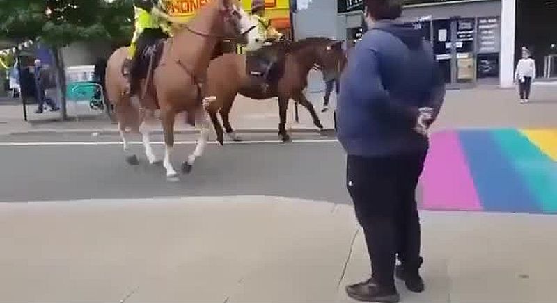 Hevoset ujostelevat sateenkaaren suojatietä