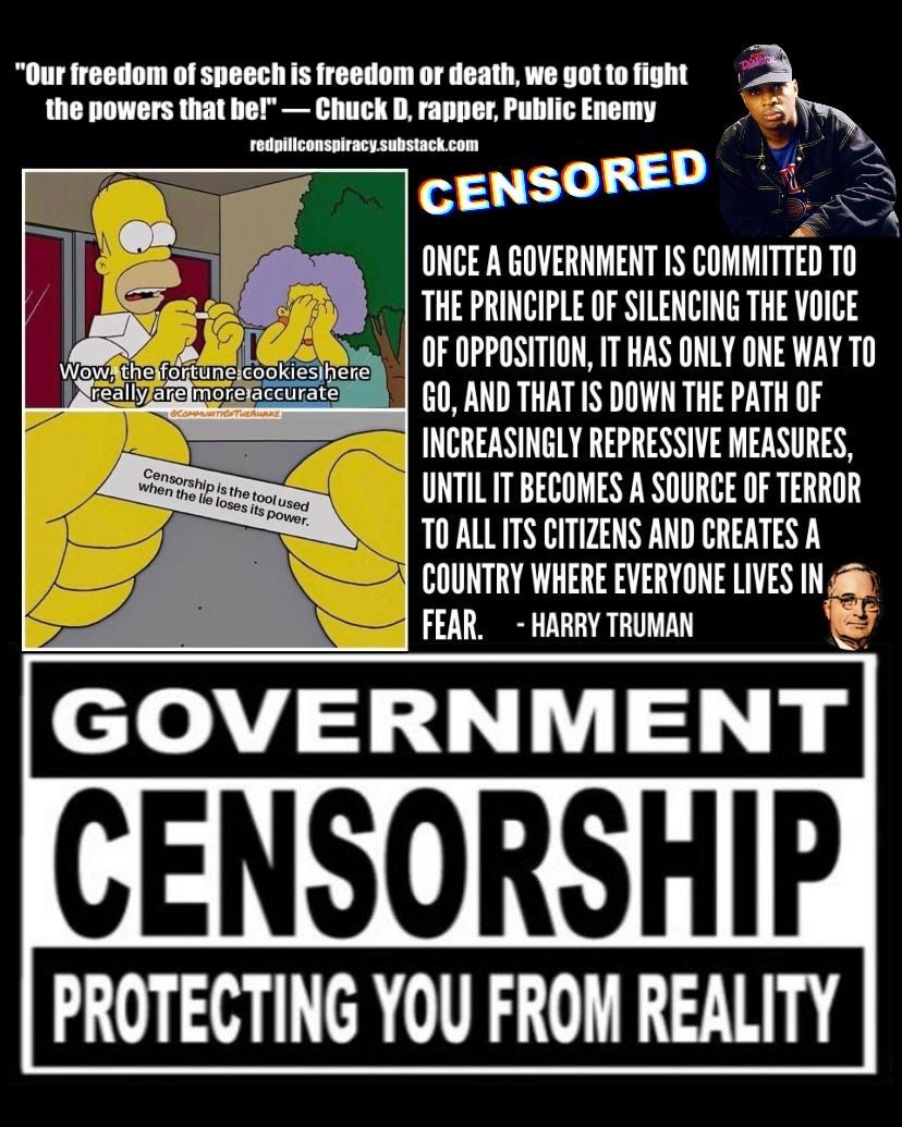Staatliche Zensur: Der Schutz vor der Realität