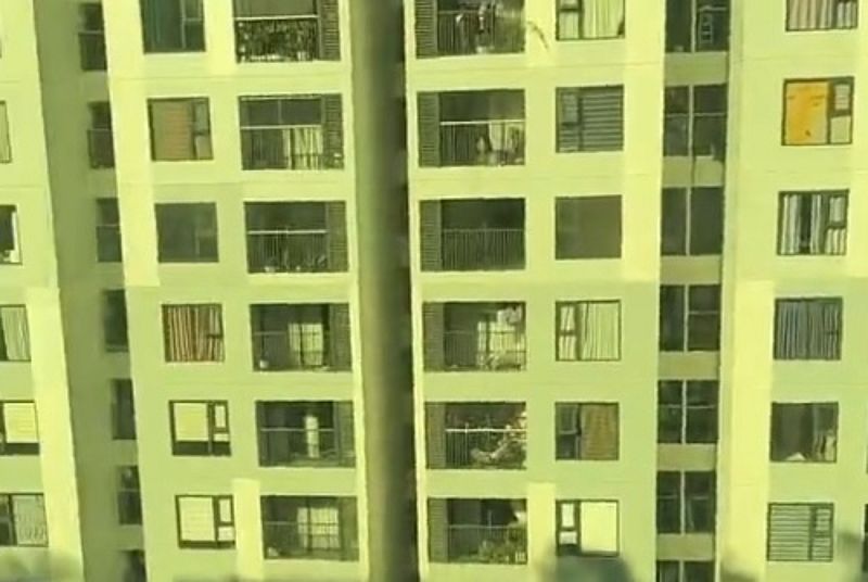 Welcome to the Jungle