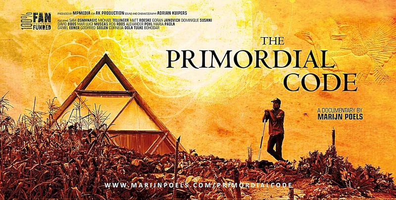 The Primordial Code