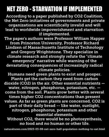 Netto-Null ist Betrug