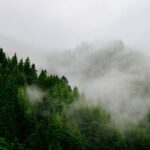 Menschen, die nicht durch ihre Ängste gehen, belügen sich selbst